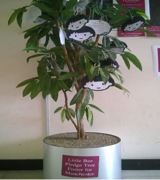 The Little Bee Pledge Tree